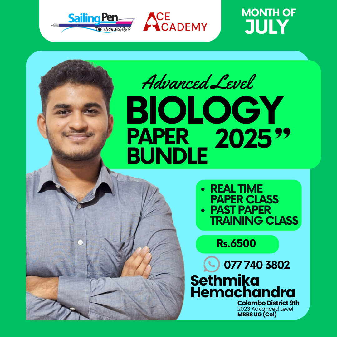 bundle